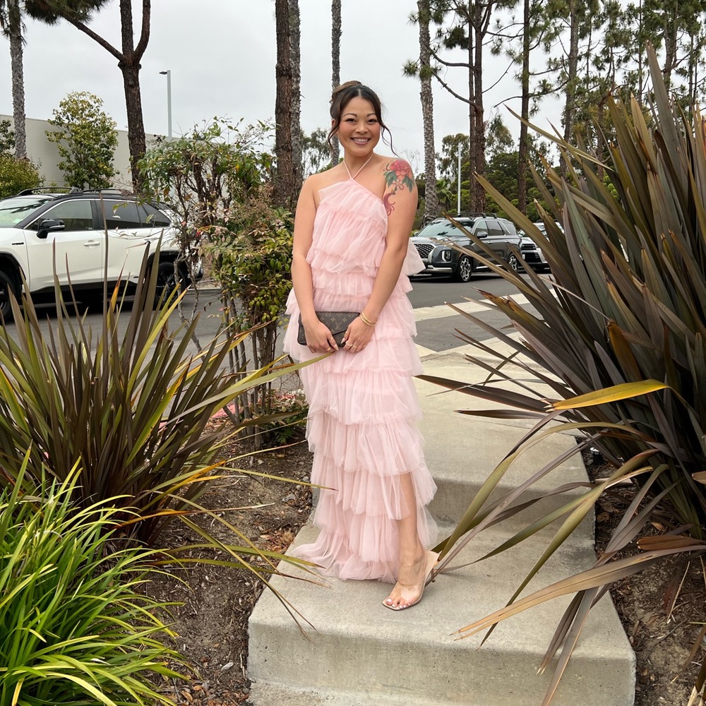 The Bar Henri gown dupe in blush pink
